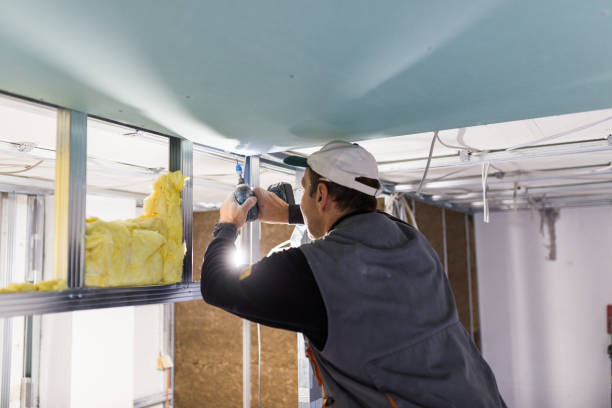 Best Cellulose Insulation in Vivian, LA